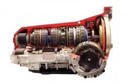 Cutaway Models