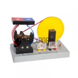 Electricity and Cell Lab