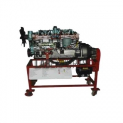 Cutaways Models