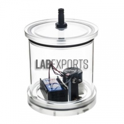 Physics Sound and Waves Lab