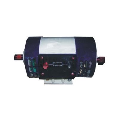 AC Repulsion Motor
