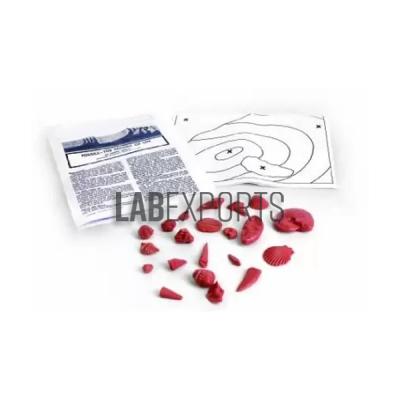 Fossil Laboratory Kit