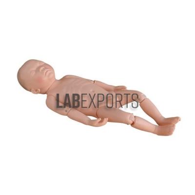 Newborn Baby Model