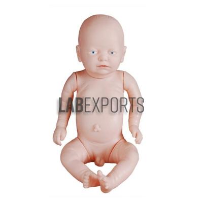 New Style Newborn