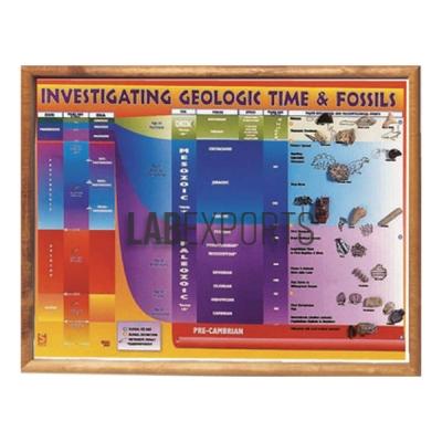 Investigating Geological Time And Fossils Chart