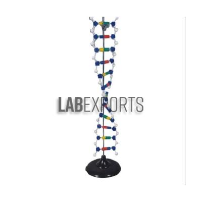 DNA Structure Model, Simulation Kit