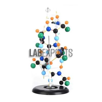 Protein Structure Model