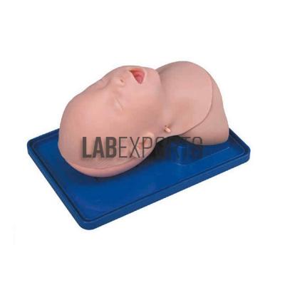 Newborn Baby Model, Intubation