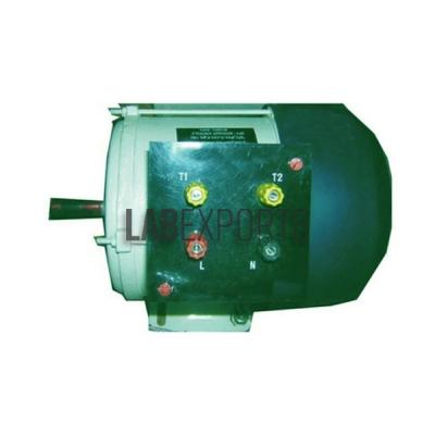 Split Phase AC Motor