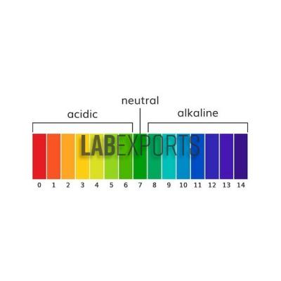 PH Meter Scale