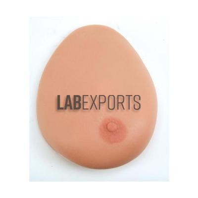 Breast Examination Model