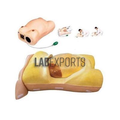 Maternity Examination Model