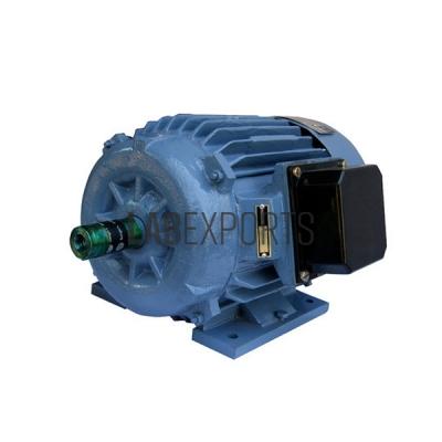 3 Phase Ac Squirrel Cage Induction Motor