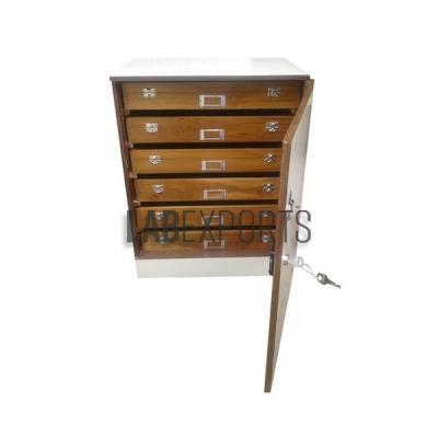 Insect Showcase Cabinet
