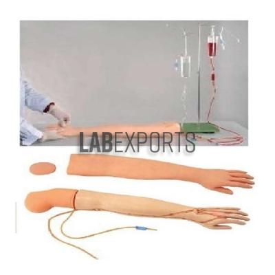Multi Functional I.V. Training Arm