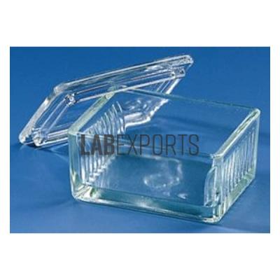 Slides Staining Box