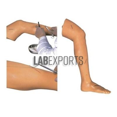 Suture Leg Advanced, Surgical