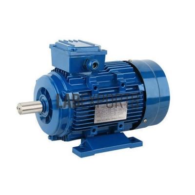 Three Phase Induction Motor