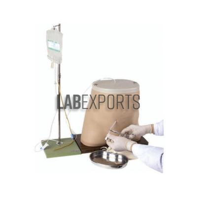 Peritoneal Dialysis Simulator