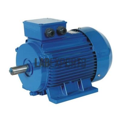 AC Induction Motor