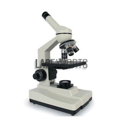 Compound Light Microscope