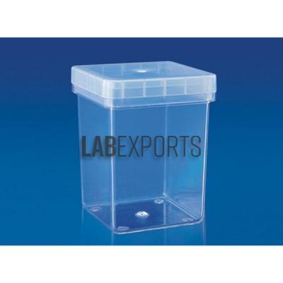 Magenta Box