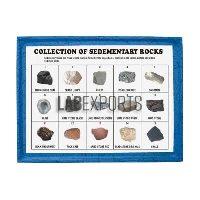 Sedimentary Rocks Set, Collection of 15 Sedimentary Rocks