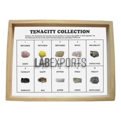 Tenacity Collection, Set of 10