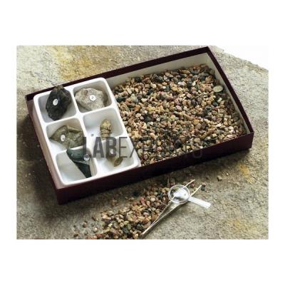 Fossil Hunt Kit