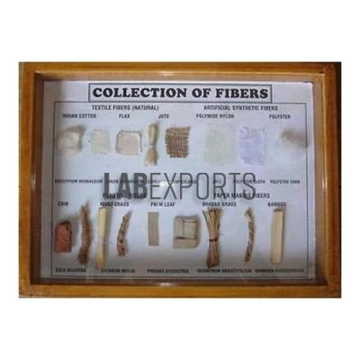 Collection of Fibers