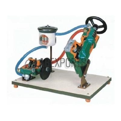 Rack And Pinion Gearbox (Sectioned Units) Trainer