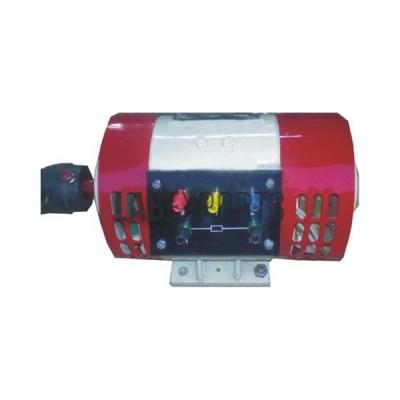3 Phase Synchronous Machine