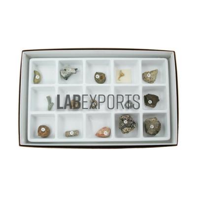 General Fossil Collection
