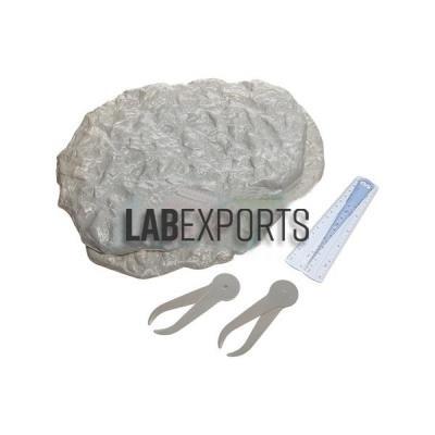 Lab Equipment Manufacturers and Suppliers Greece