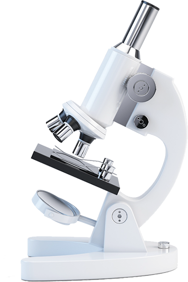 White student compound microscope with three objective lenses, a stage and a mirror